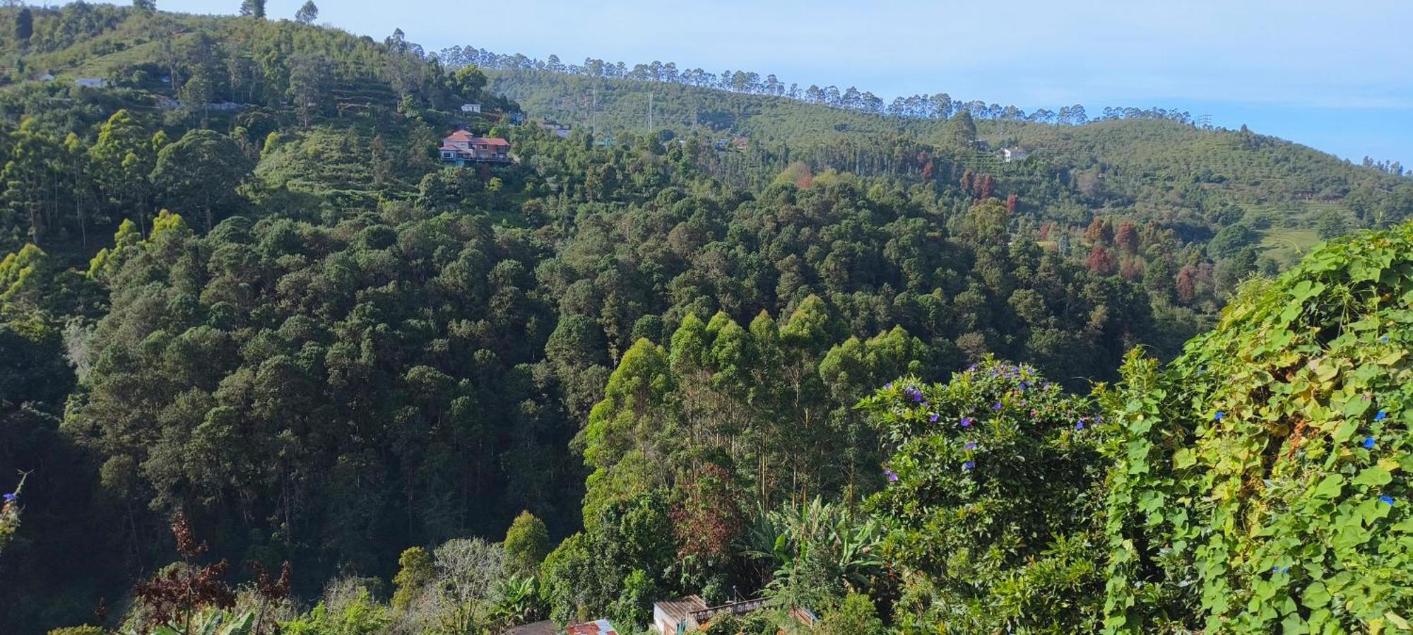 Highland Heaven Hotel Kodaikanal Exterior photo